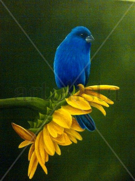 Azulino y girasol