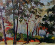 Paisaje 41