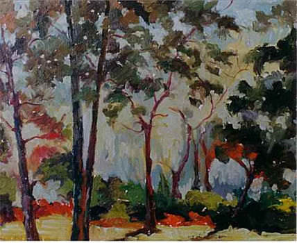 Paisaje 41