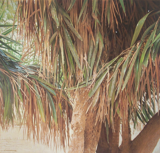 YUCAS