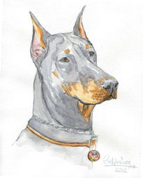 Doberman