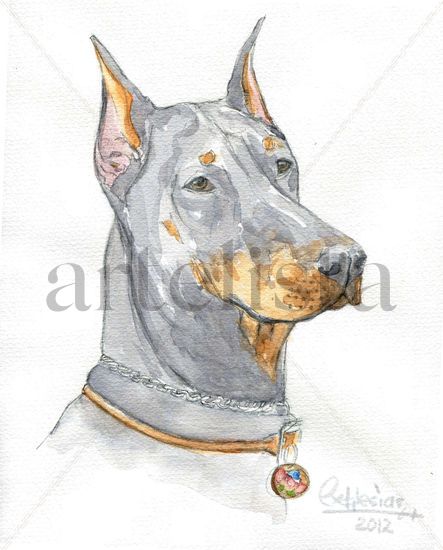 Doberman Acuarela Papel Animales