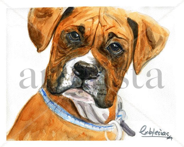 Boxer Acuarela Papel Animales