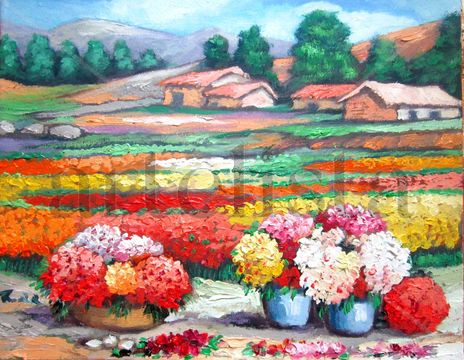 Flores
