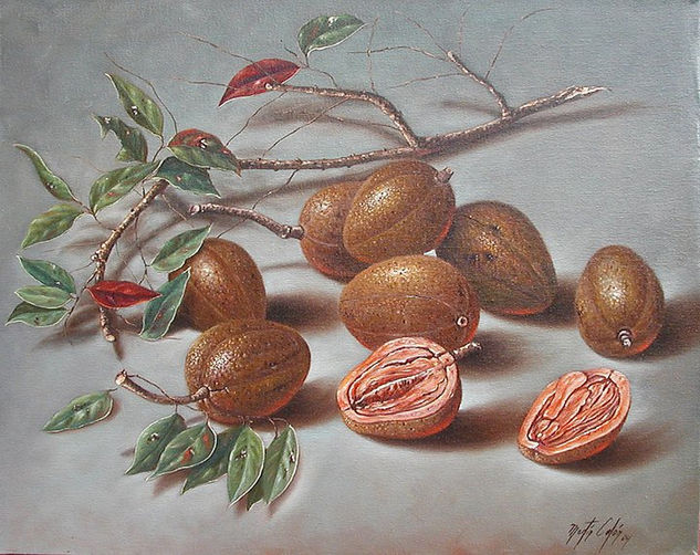 CAOBAS DE JUAN Y TÁMARA Oil Canvas Still Life Paintings