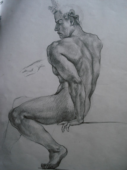 Anatomía