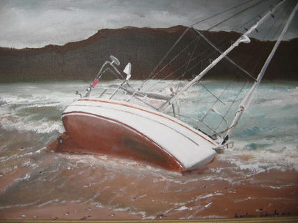 Vela arenata