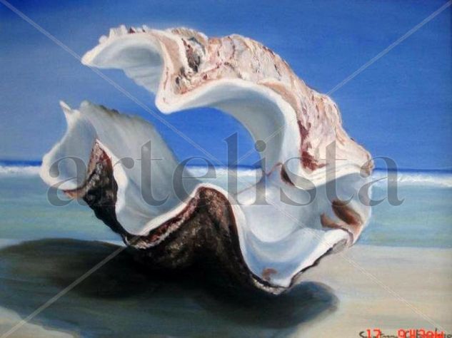 conchiglia Oil Canvas Marine Painting