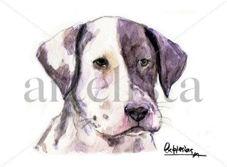 Cachorro Dalmata