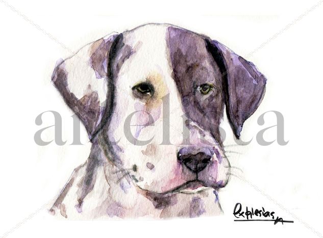 Cachorro Dalmata Watercolour Paper Animals