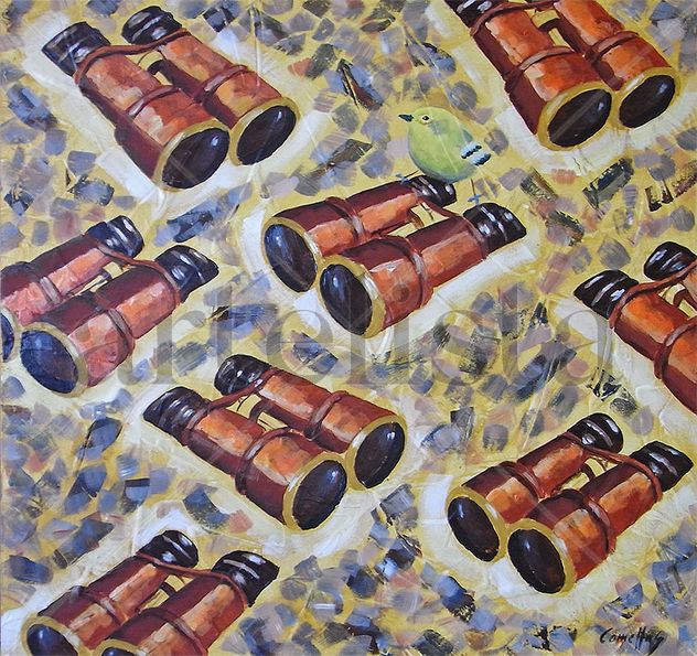 Hobby Observación de Aves