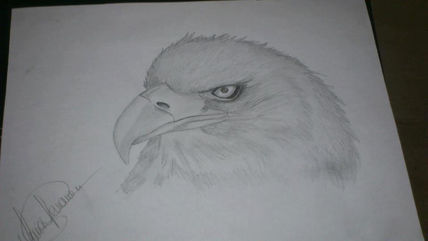 Aguila