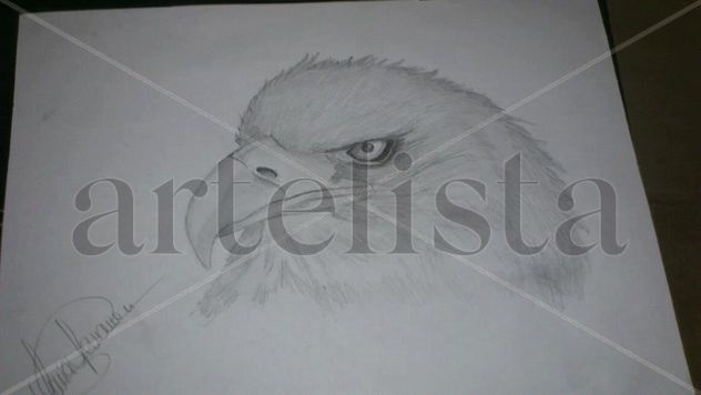 Aguila