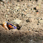 Naturaleza thumbnail 2