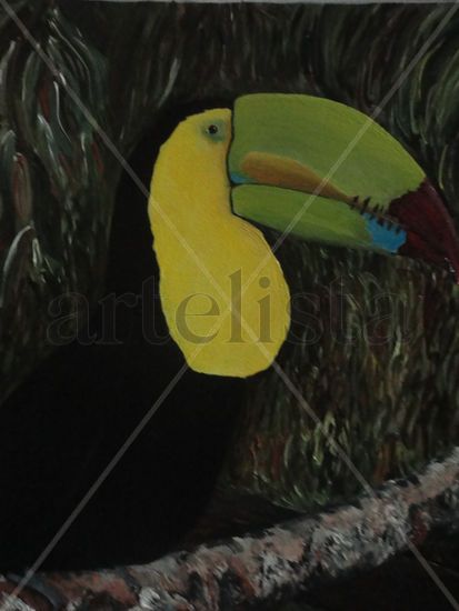 Tucan Acrylic Canvas Animals