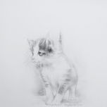 Dibujos thumbnail 2