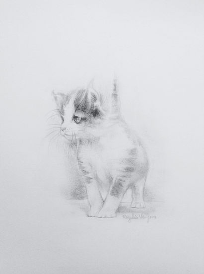 Lindo Gatito Pencil