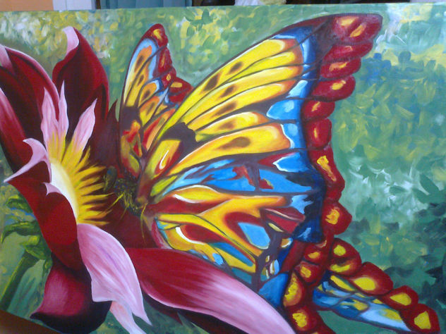 mariposa