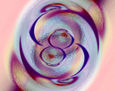 Imagen 258