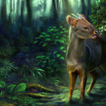 Fauna y flora thumbnail 1