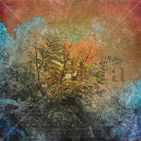 Artificial Nature