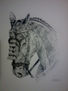 caballo