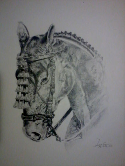 Caballo