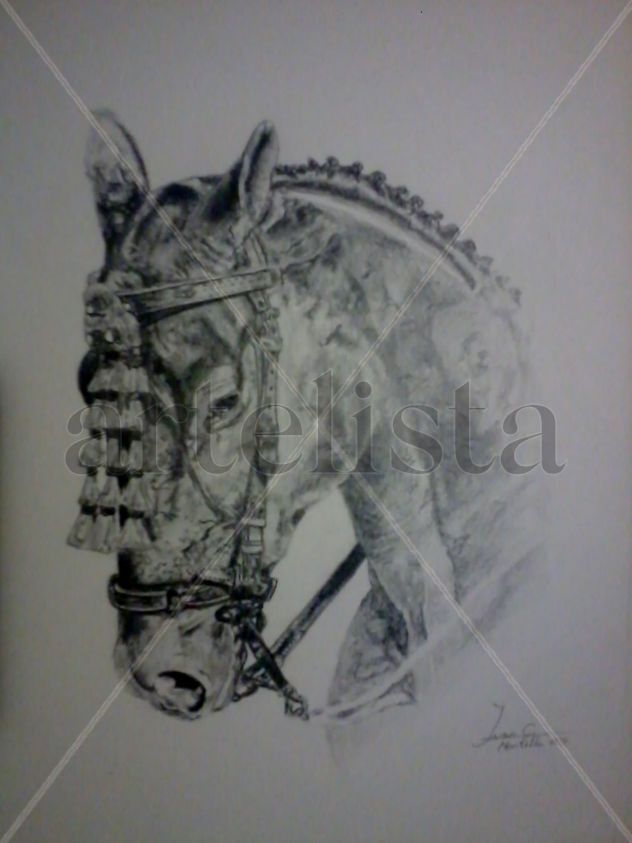 caballo