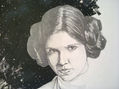 Princesa Leia (Detalle)