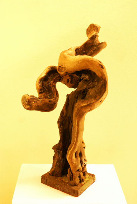 Anatomía femenina I