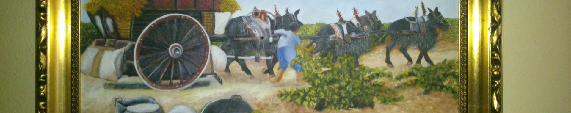 Imagen de portada
