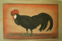 Gallo