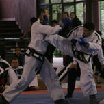 Fotos thumbnail 1
