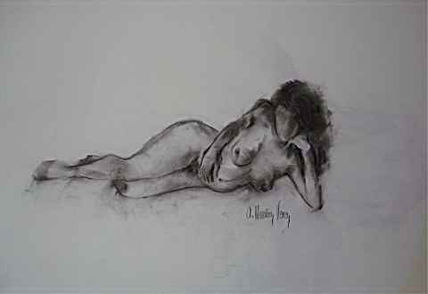 Desnudo 14