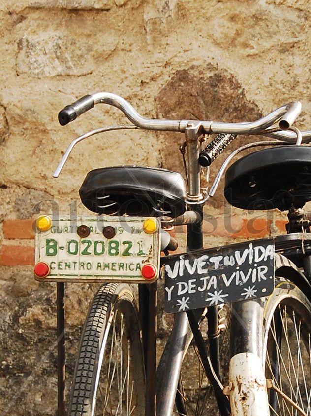 vive tu vida y deja vivir  3 de 5