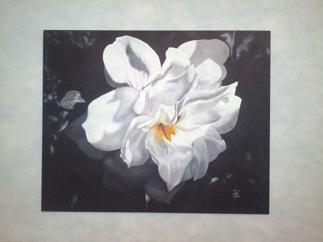 rosa blanca