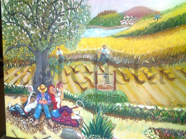 El olivo vigia de los campos de trigo