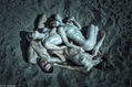 BODIES