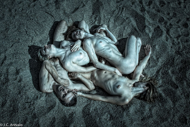 BODIES