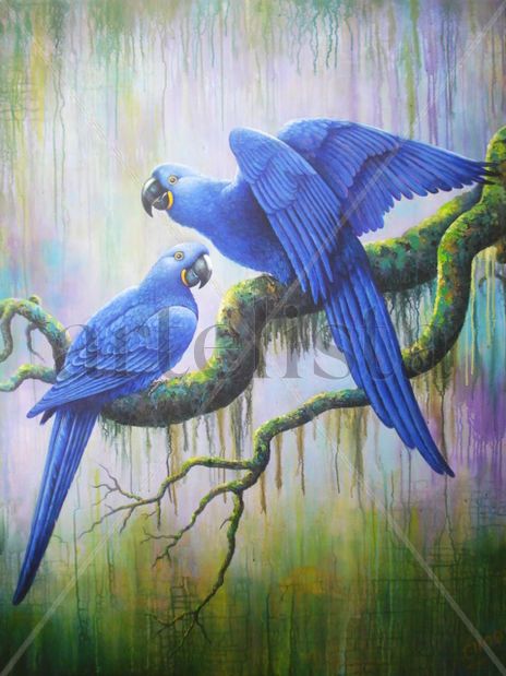 Loros Azules