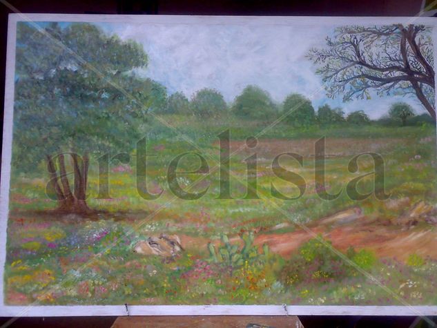 paisaje omitlan Oil Panel Landscaping