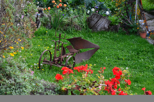 Carrito en el campo Naturaleza Color (Digital)