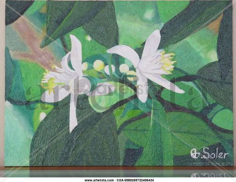 Flor azahar