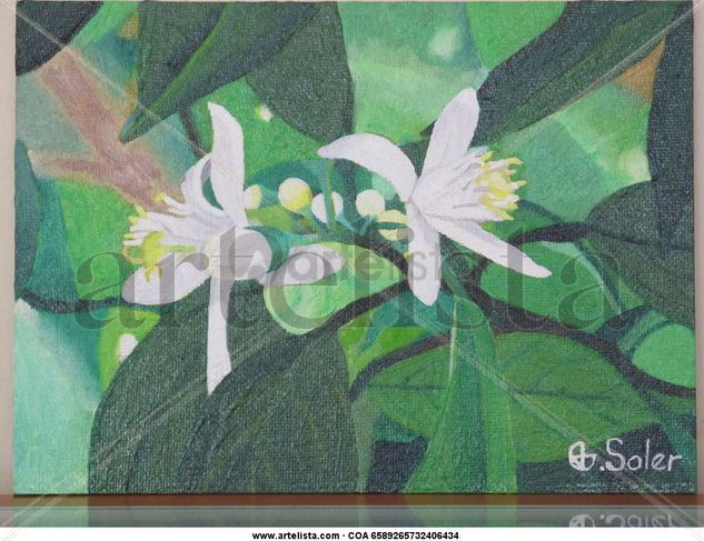 flor azahar Oil Canvas Floral Painting