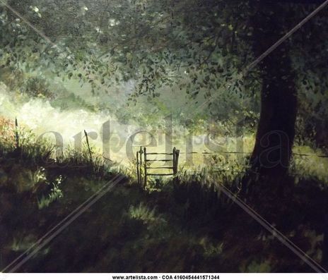 Shady Meadow