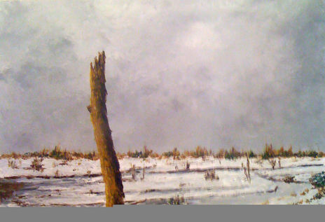 Paramo nevado