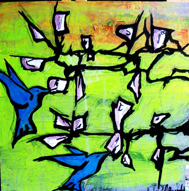 colibrís