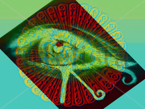 Ojo