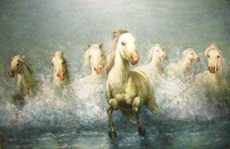 Chevaux de camargue