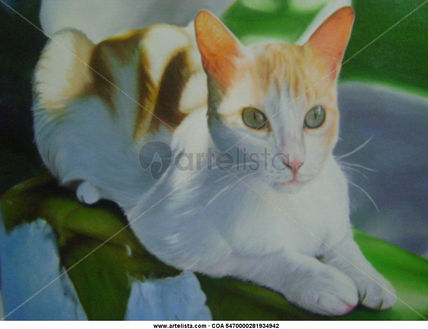 El Reposo del gato